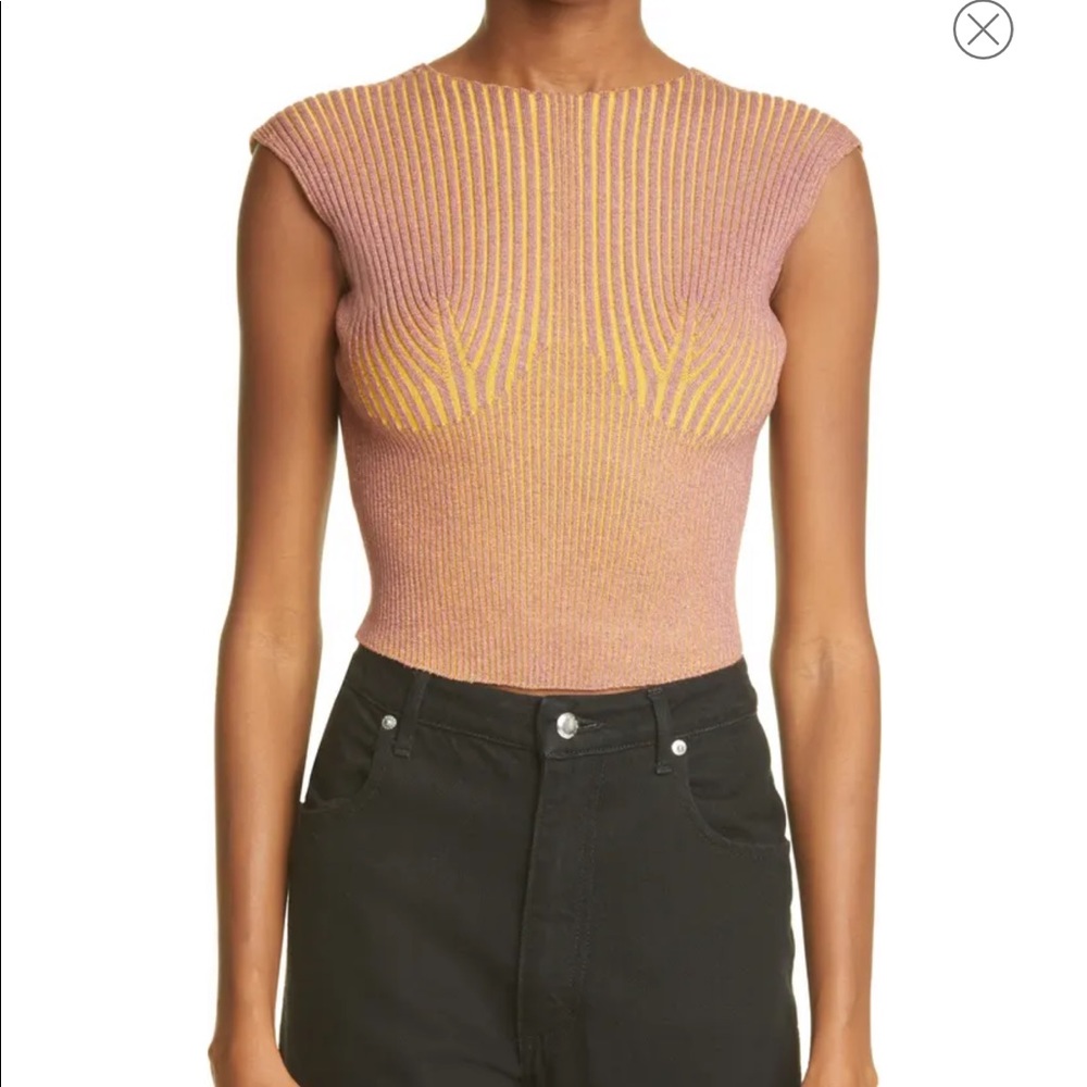 Brand New Isa Boulder Cap Sleeve Ribbed Crop Top